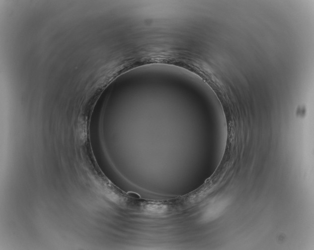 X0000091480471200709061843