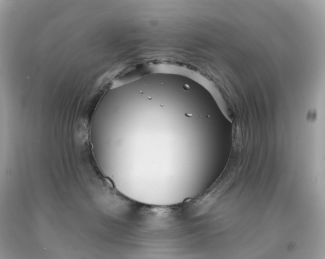 X0000091480478200709061843