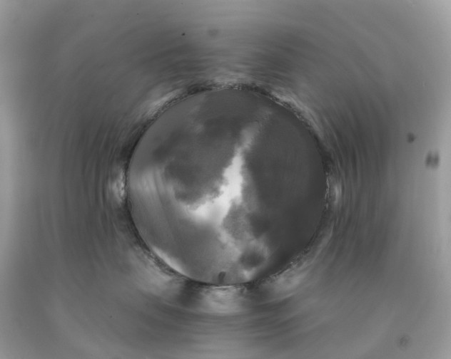 X0000091480479200709061843