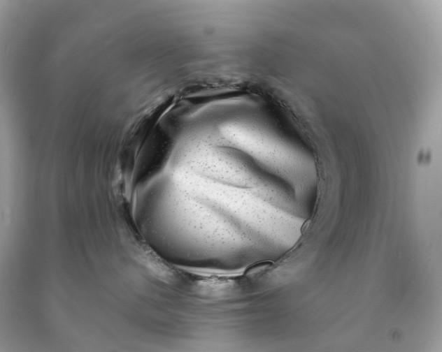 X0000091480480200709061843