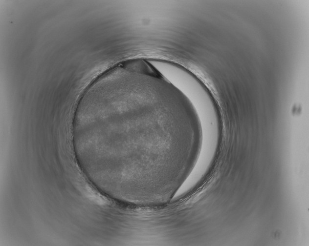 X0000091480481200709061843