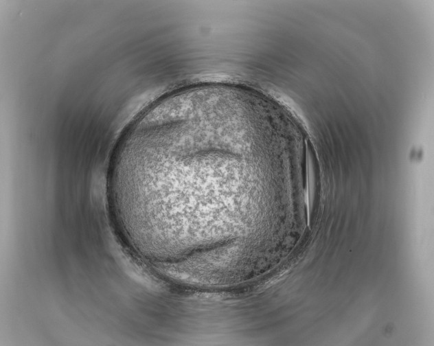 X0000091480482200709061843