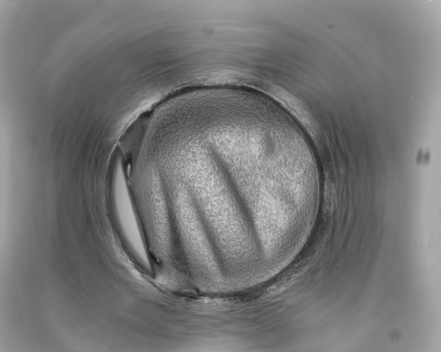 X0000091480485200709061843