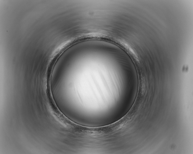 X0000091480486200709061843