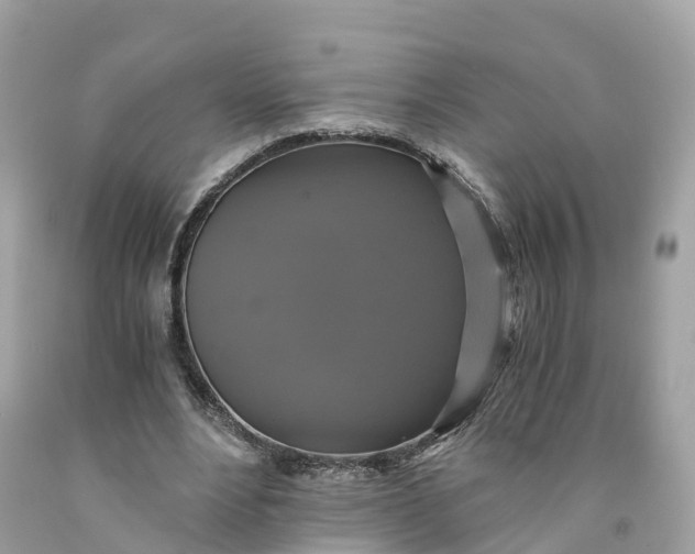 X0000091480488200709061842