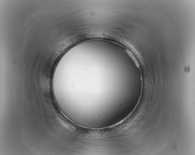 X0000091480489200709061842