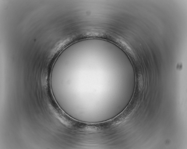 X0000091480490200709061842