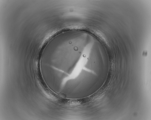 X0000091480491200709061842