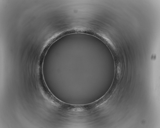 X0000091480492200709061842