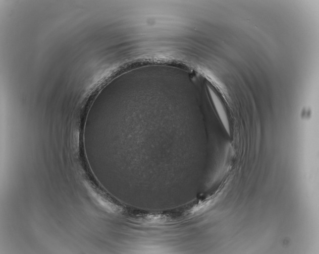 X0000091480493200709061842