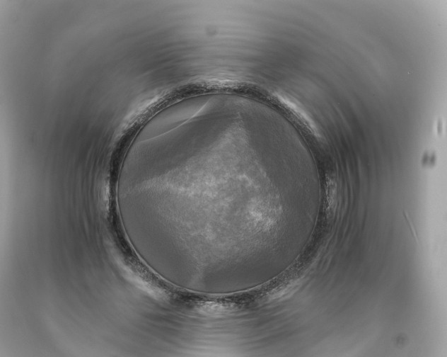 X0000091480494200709061842