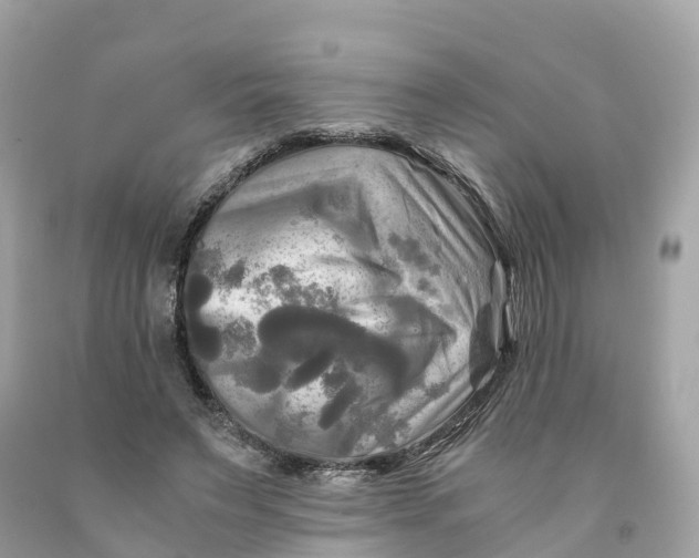 X0000091480495200709061842