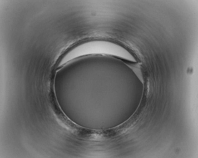 X0000091480496200709061842