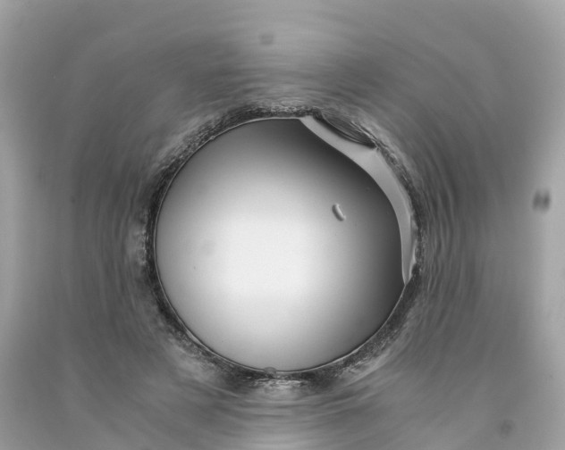 X0000091480497200709061842