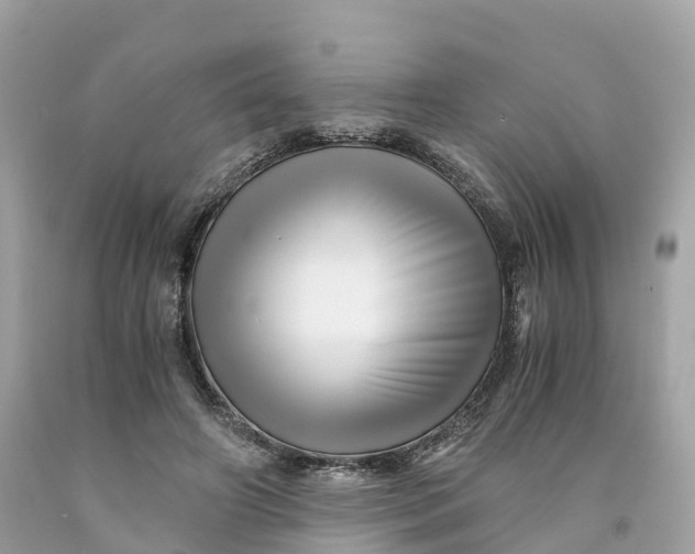 X0000091480498200709061842