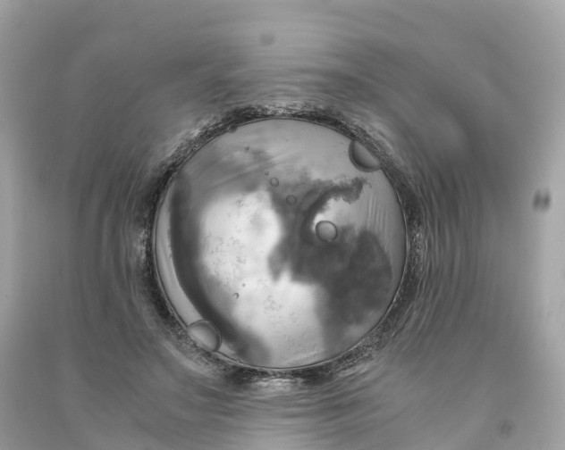 X0000091480499200709061842