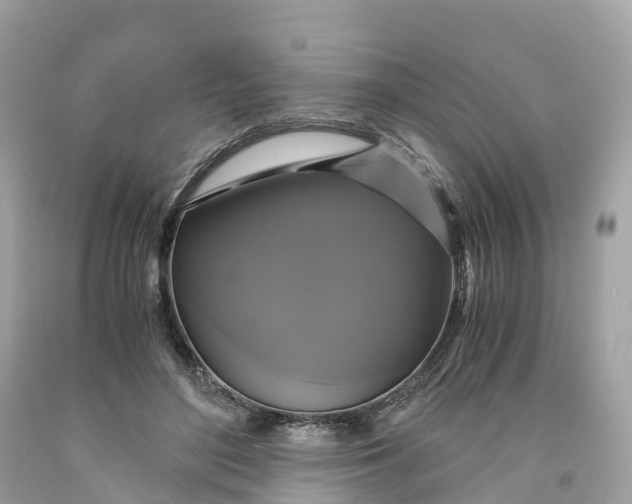 X0000091480500200709061842