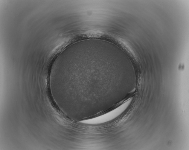 X0000091480501200709061842