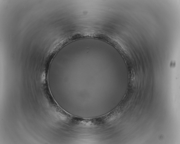 X0000091480502200709061842