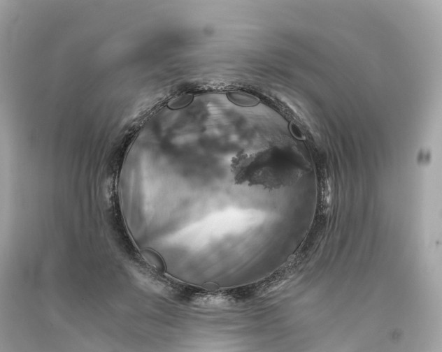 X0000091480503200709061842