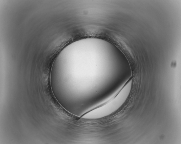 X0000091480505200709061842