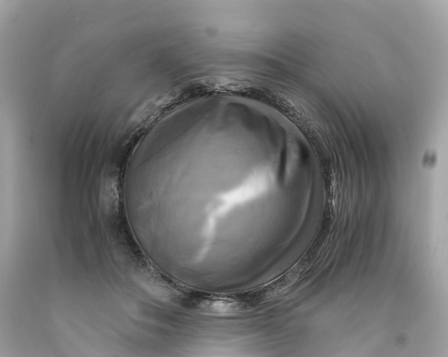 X0000091480506200709061842