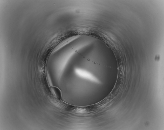 X0000091480507200709061842