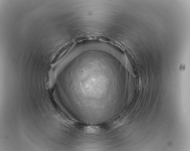 X0000091480508200709061842