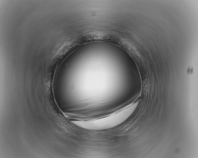 X0000091480509200709061842