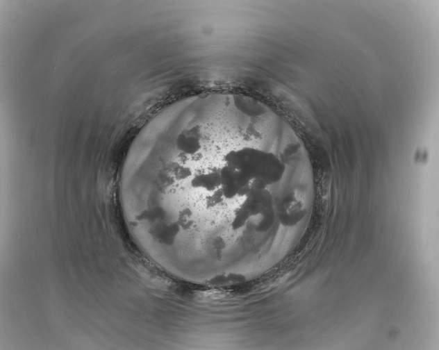 X0000091480511200709061842