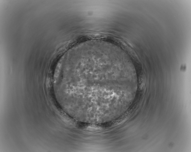 X0000091480515200709061842