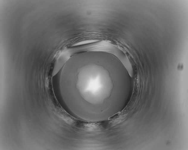 X0000091480516200709061842