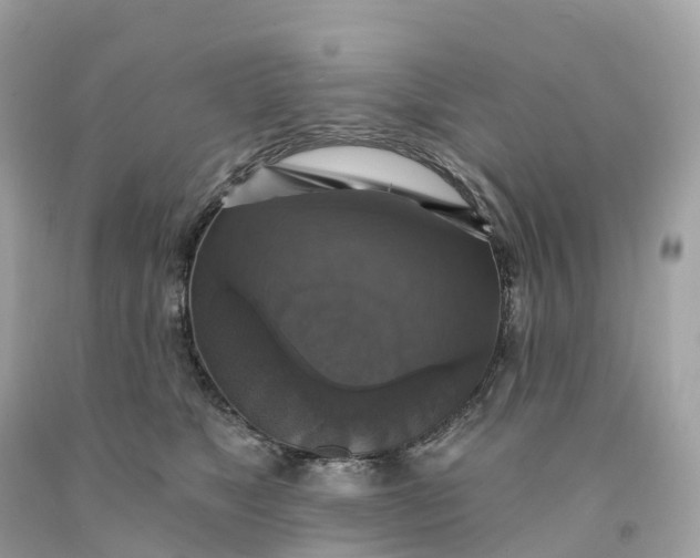 X0000091480517200709061842