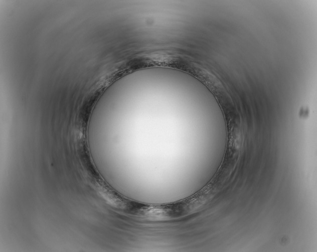 X0000091480518200709061842