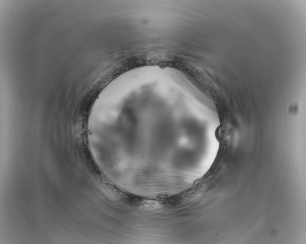 X0000091480519200709061842