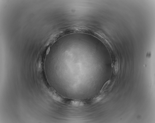 X0000091480520200709061842