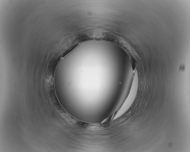 X0000091480521200709061842