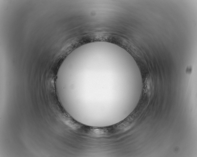 X0000091480522200709061842