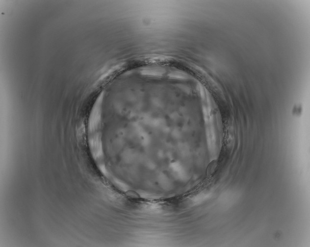 X0000091480523200709061842