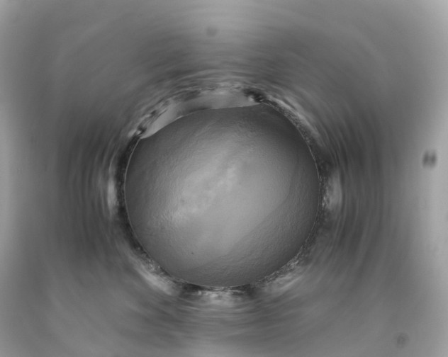 X0000091480524200709061842