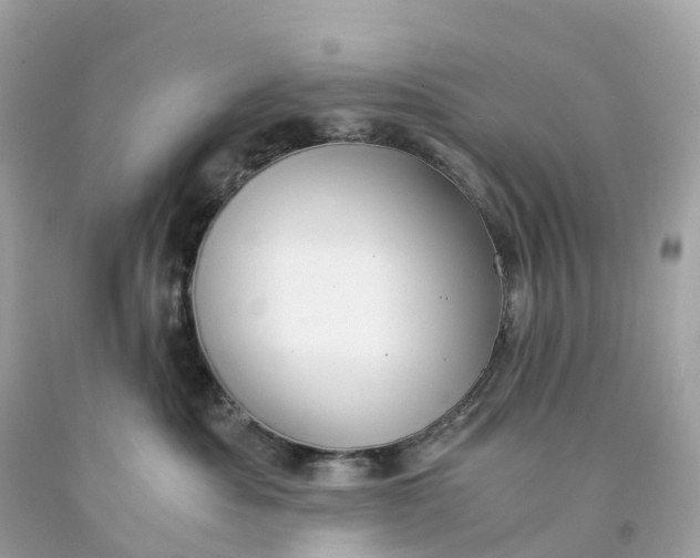 X0000091480525200709061842