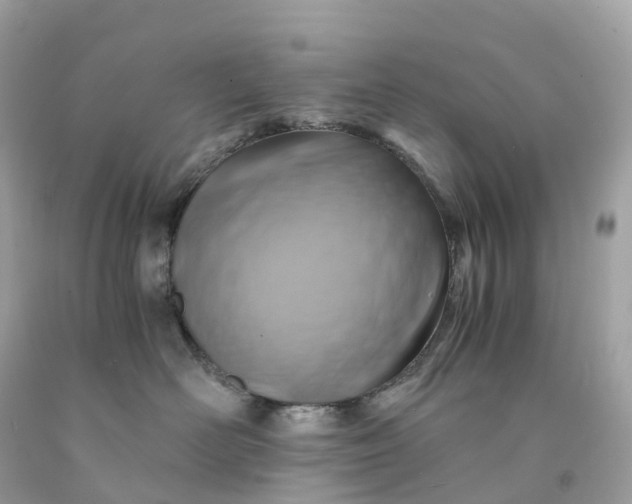 X0000091480526200709061842