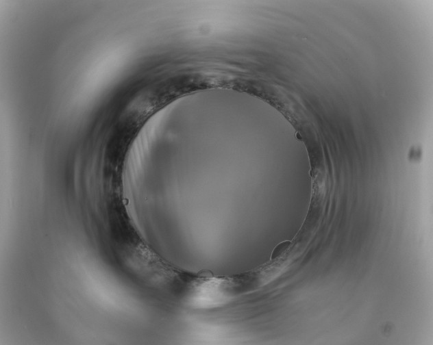 X0000091480527200709061842