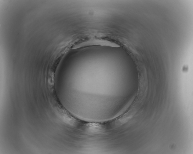 X0000091480528200709061842