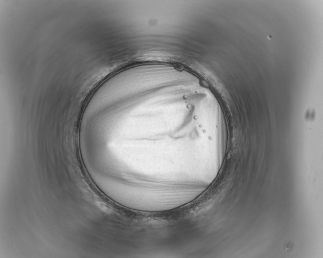 X0000091480529200709061841