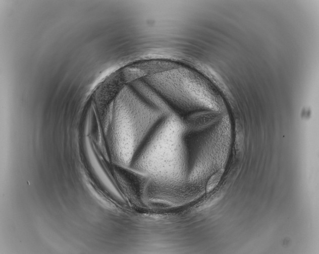 X0000091480530200709061841