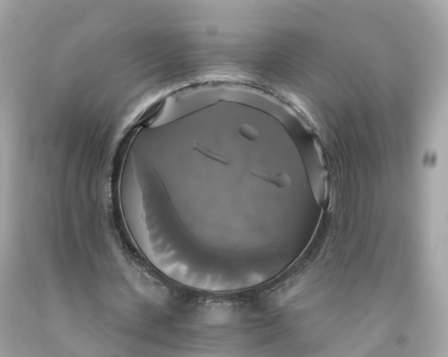 X0000091480531200709061841