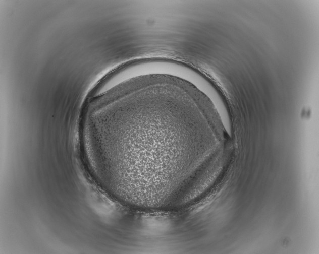 X0000091480532200709061841