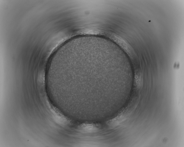 X0000091480534200709061841