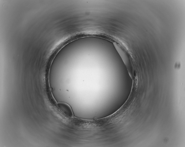 X0000091480535200709061841